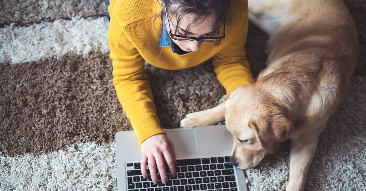 An NMU Global Campus online student with glasses wearing a mustard yellow sweater is lying on the floor with her Golden Retriever puppy while studying.